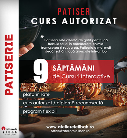 Curs Patiser